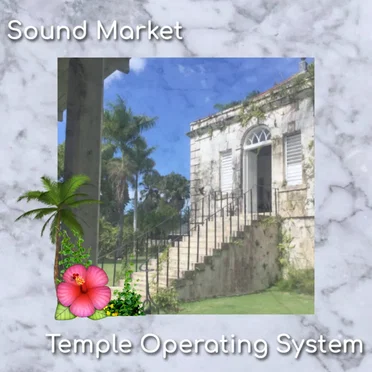 Temple Operating System by Sound Market - album cover
