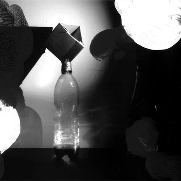 Charlemagne & Pippin