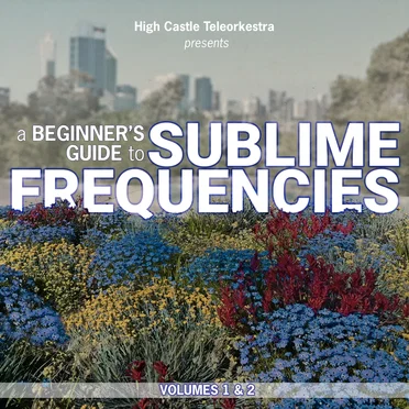 A Beginner's Guide to Sublime Frequencies, Vol 1&2 by Various Artists - album cover