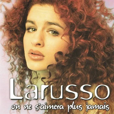 On ne s'aimera plus jamais