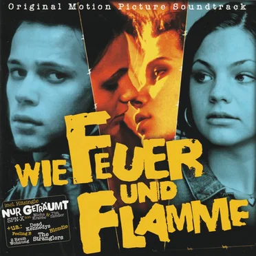 Wie Feuer und Flamme by Various Artists - album cover