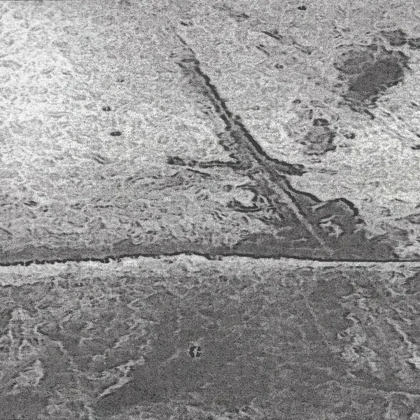 Viking Burial for a French Car
