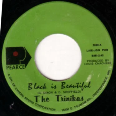 Black Is Beautiful / Remember Me