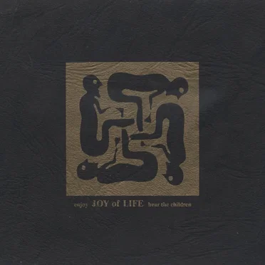 Enjoy / Hear the Children by Joy of Life - album cover