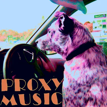 Proxy Music
