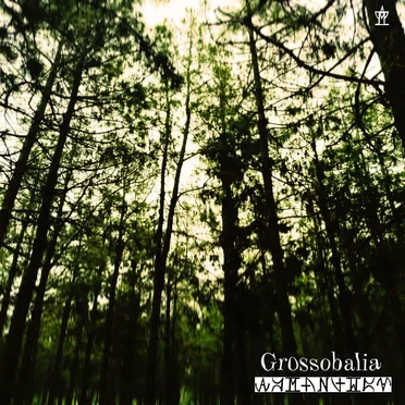 Grossobalia by Aymantium - album cover