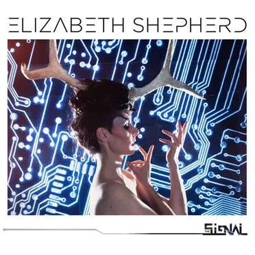 The Signal