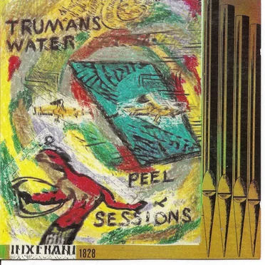 The Peel Sessions by Trumans Water - album cover