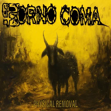 Physical Removal by Porno Coma - album cover