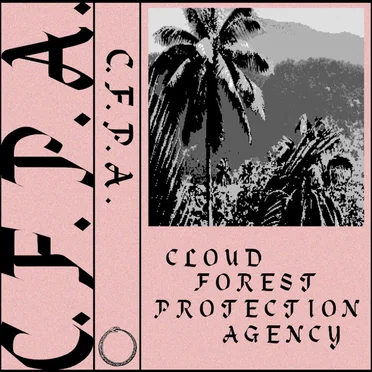 C.F.P.A.