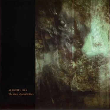 The Door of Possibilities