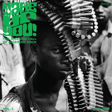 Wake Up You! Vol. 1: The Rise & Fall of Nigerian Rock Music 1972-1977 by Various Artists - album cover
