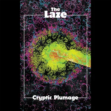 Cryptic Plumage