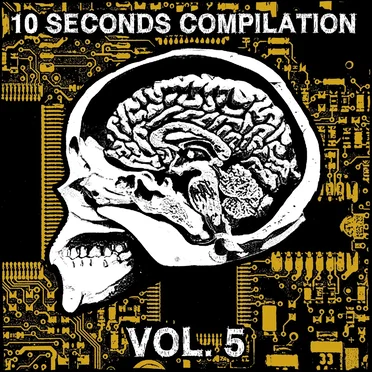 10 Seconds Compilation Vol. 5 by Various Artists - album cover