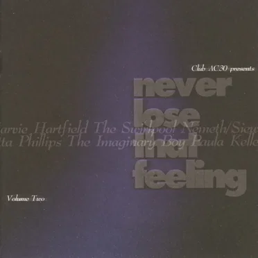Never Lose That Feeling, Volume Two by Various Artists - album cover
