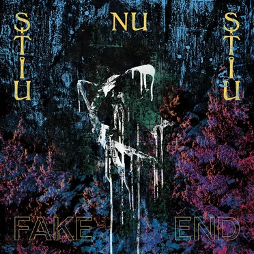 Fake End by ŞTIU NU ŞTIU - album cover