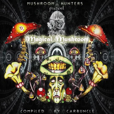 Magical Mushroom by Various Artists - album cover