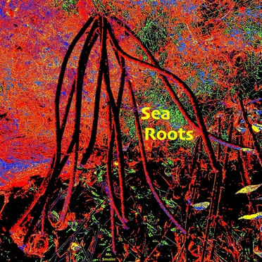 Sea Roots