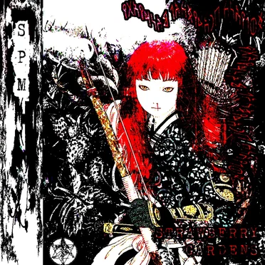 strawberry gardens by Solianic Paradisiacal Mundanity - album cover