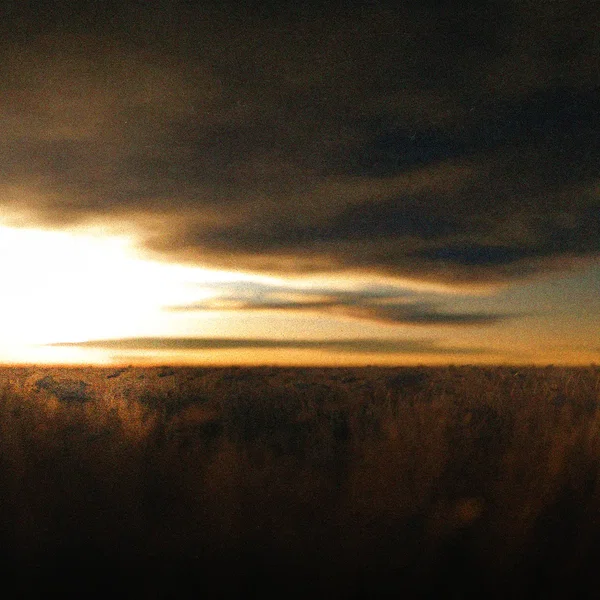 There Is a Place for Me