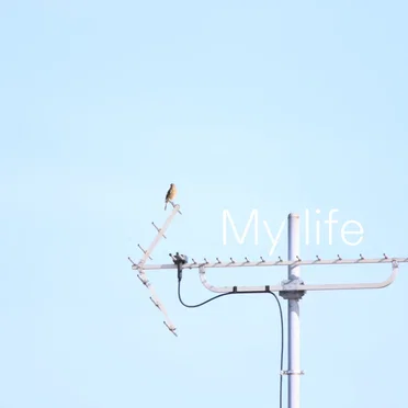 my life