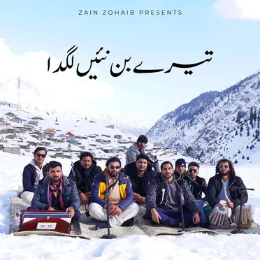 Tere Bin Nahin Lagda by Zain Zohaib - album cover