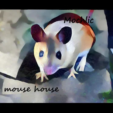 Mouse House by Mochlic - album cover