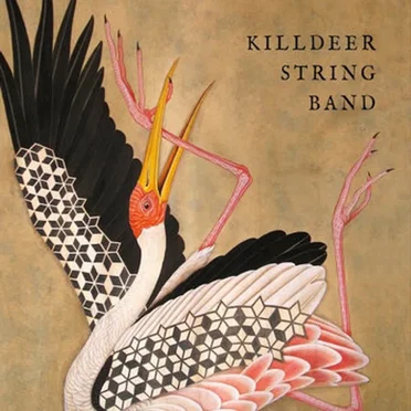 Killdeer String Band by Killdeer String Band - album cover