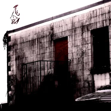 Still Asleep by Total Wife - album cover