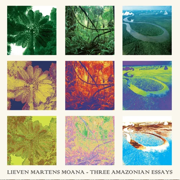 Three Amazonian Essays