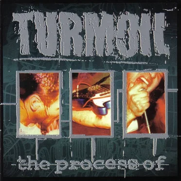 The Process Of... by Turmoil - album cover