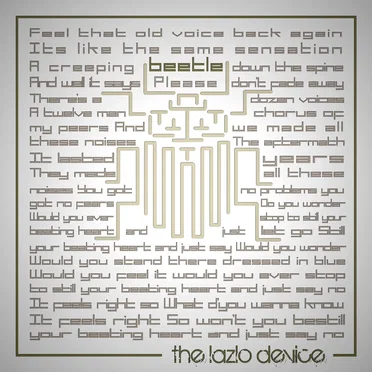 Beetle