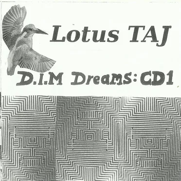 D.I.M. Dreams Vol.1