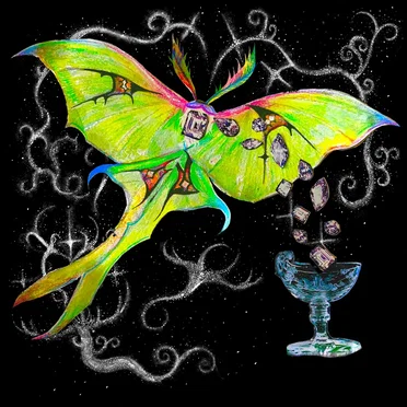 Drama Moth by Drama Moth - album cover