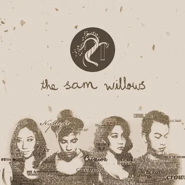 The Sam Willows