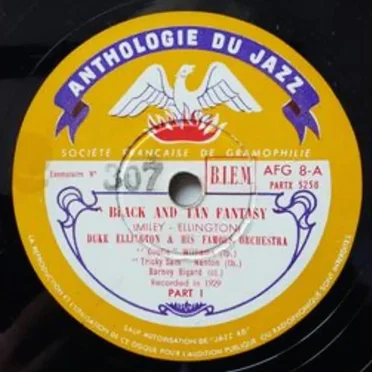 Black and Tan Fantasy