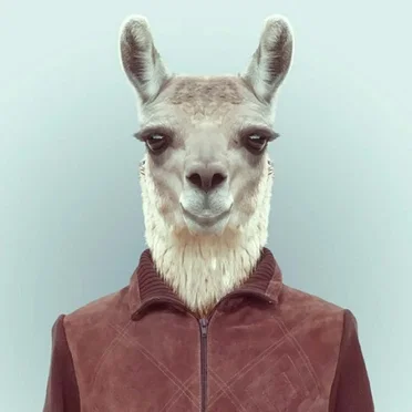 Le lamentable lama libertain