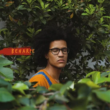 Beharie by Beharie - album cover