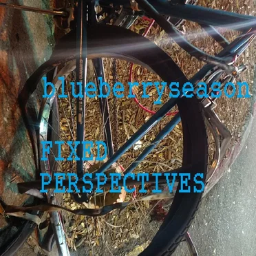 Fixed Perspectives