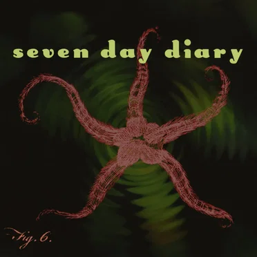 Seven Day Diary