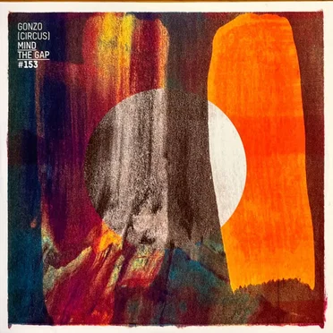 Mind the Gap #153 by Various Artists - album cover
