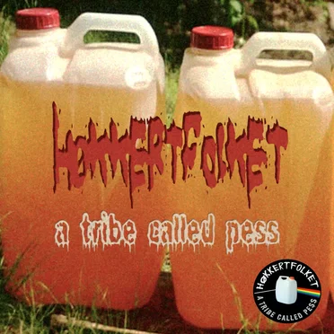 A Tribe Called Pess by Høkkertfolket - album cover