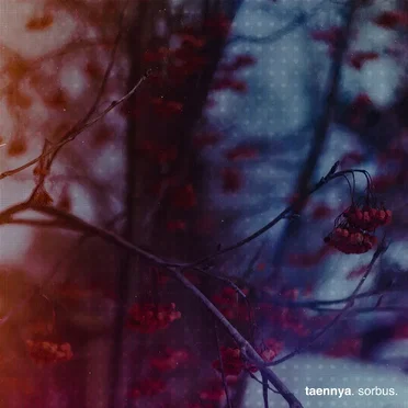 sorbus by taennya - album cover