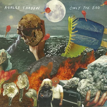 Only the End by Ashley Shadow - album cover