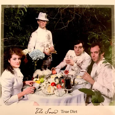 True Dirt by The Snow - album cover