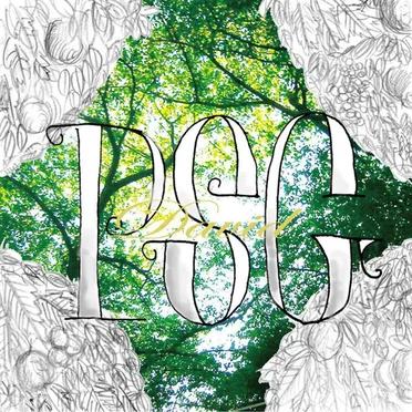 David by PSG - album cover