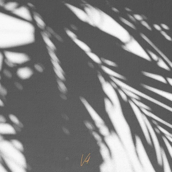 A year in a day LP