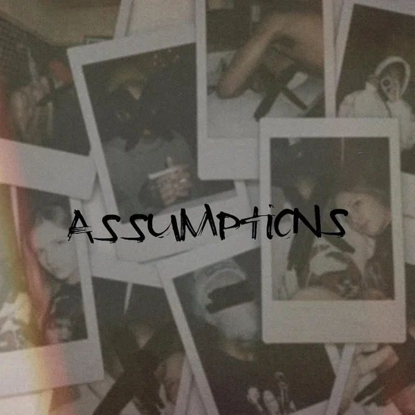 Assumptions