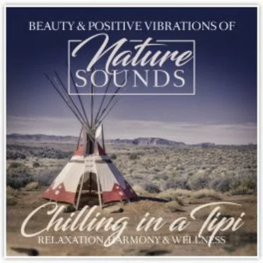 Chilling in a Tipi by Jens-Henning Gläsker - album cover