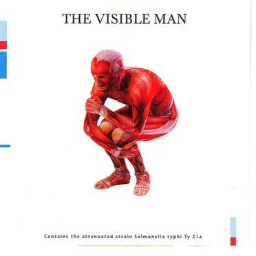 The Visible Man